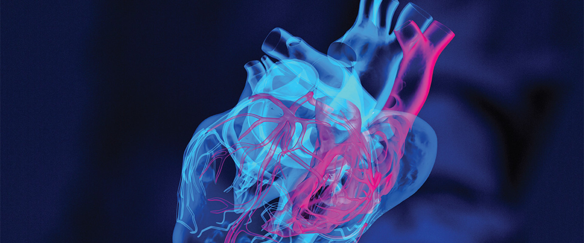 Understanding Differential Diagnosis for CVS: Causes, Triggers ...